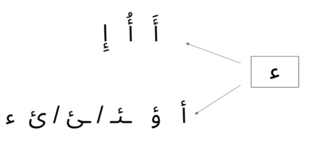 diferentes formas de la hamza